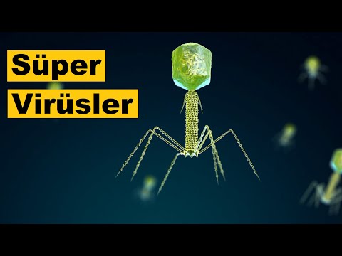 Ölümsüz Süper Virüsleri Tanıyalım
