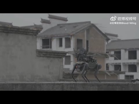 طائرات صينية مسيّرة تقوم بإنزال كلاب روبوتية عسكرية في المعركة