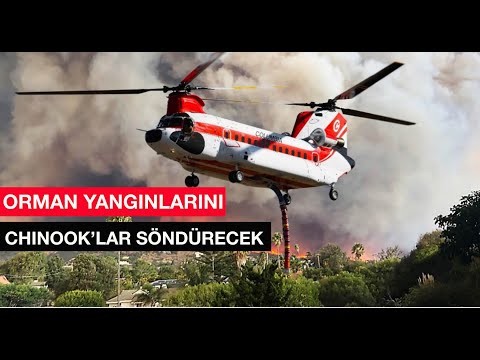 Orman Yangınlarını Chinook helikopterleri söndürecek