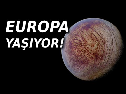 Europa&#039;da Yaşamın Kanıtı Bulunmuş Olabilir!